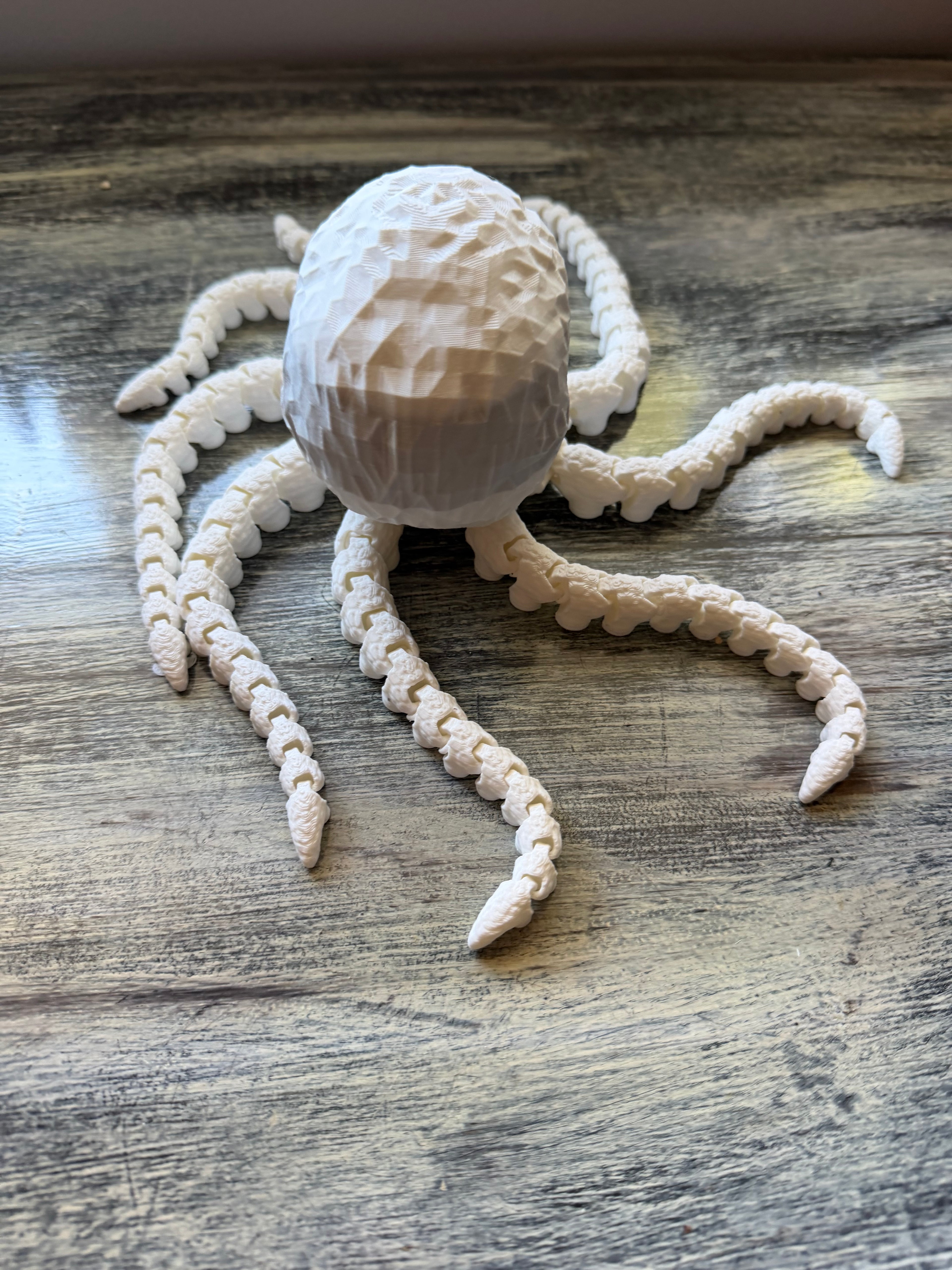 Skull octopus