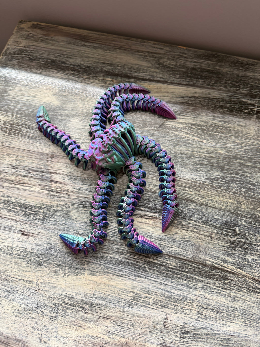 Articulate skull octopus