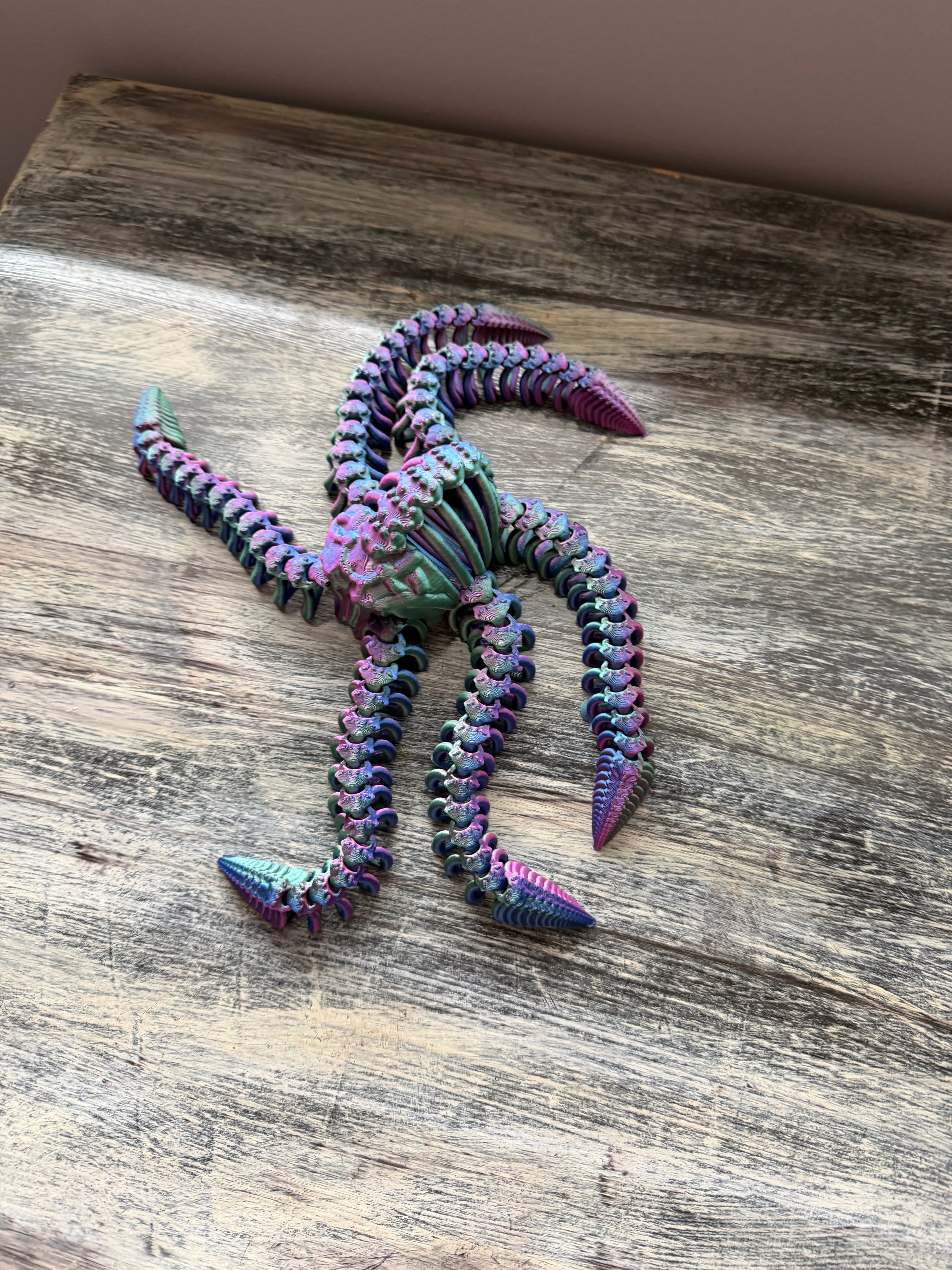 Articulate skull octopus