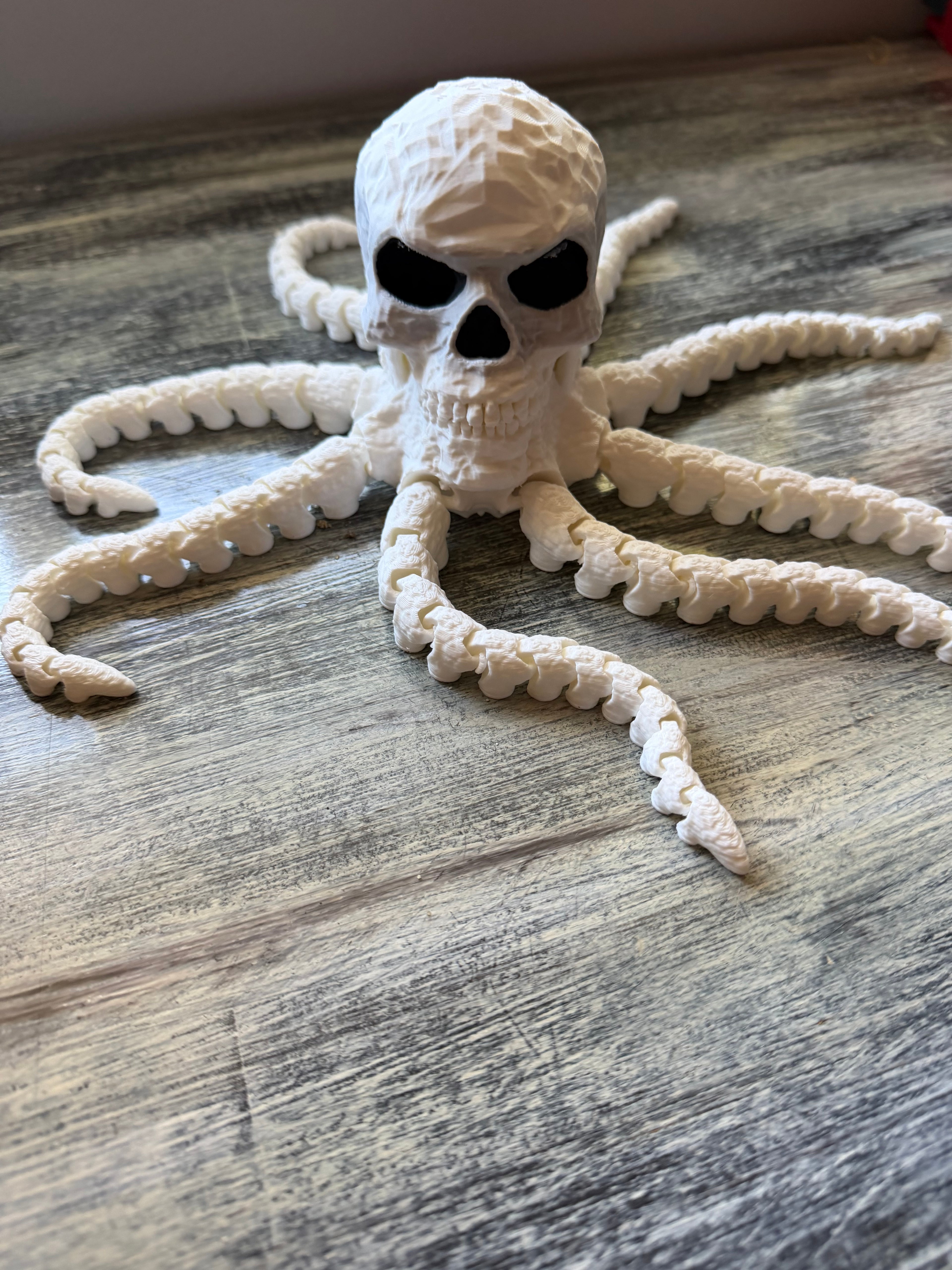 Skull octopus