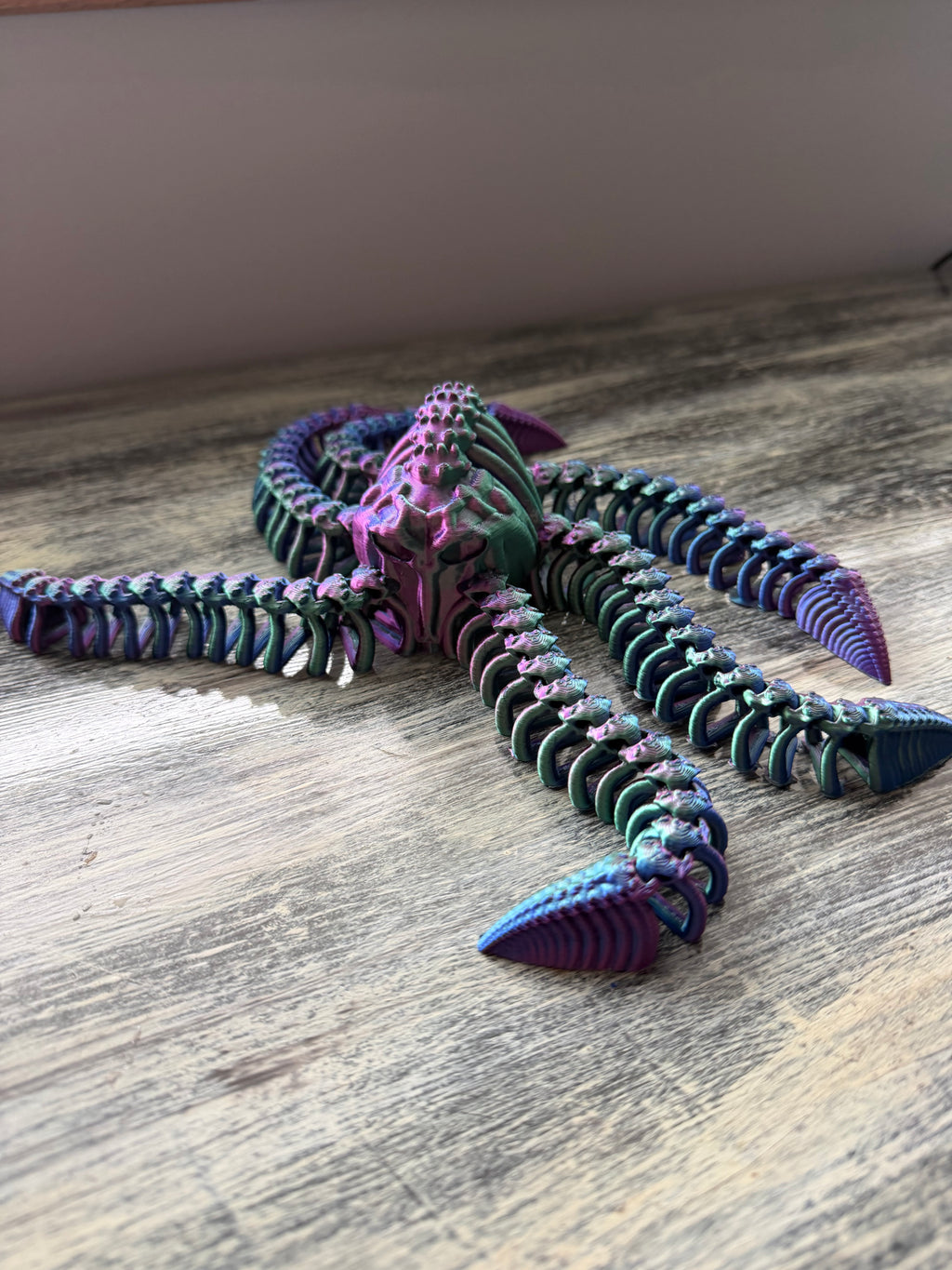 Articulate skull octopus