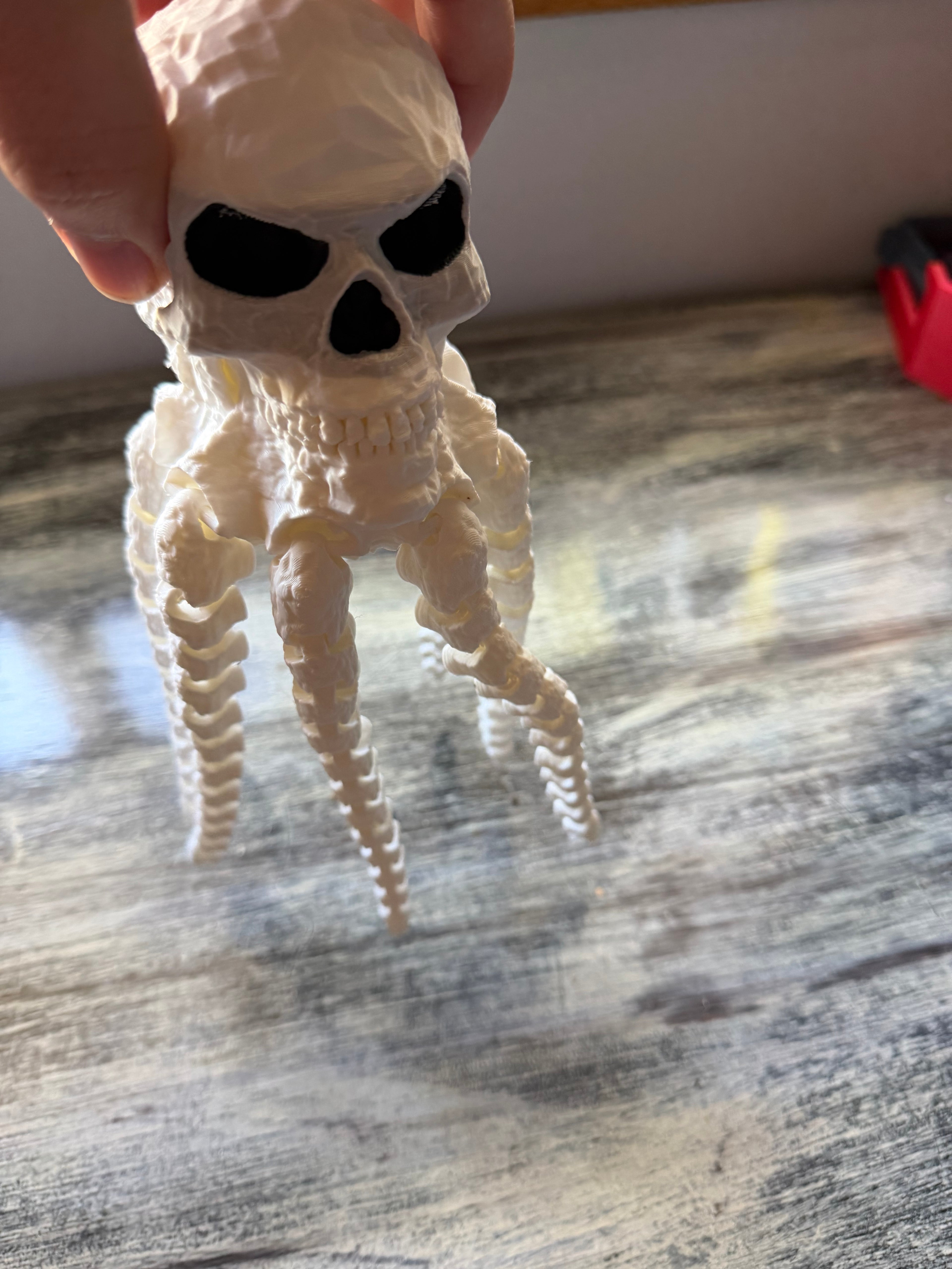 Skull octopus